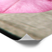 Roze Petunia Poster (Hoek)