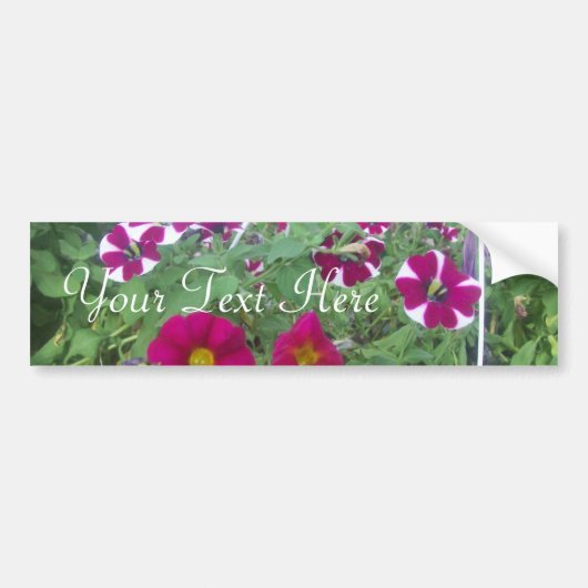 Roze Petunias Bumpersticker (Voorkant)