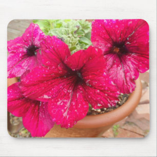 Roze Petunias Muismat