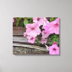 Roze petunias op schuurhout canvas afdruk