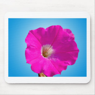 roze petuniumbloem tegen blauwe achtergrond . muismat