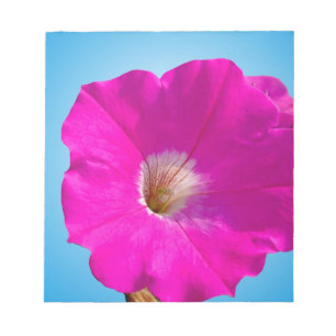 roze petuniumbloem tegen blauwe achtergrond . notitieblok