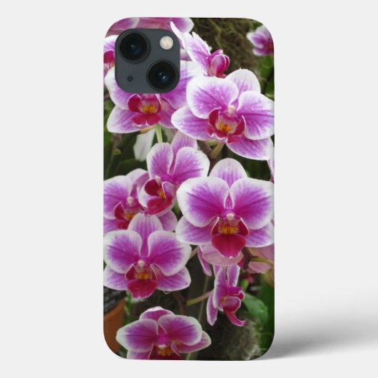 Roze Phalaenopsis iPhone 13 Hoesje (Achterkant)