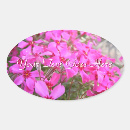 Roze Phlox Bloemen Stickers (Voorkant)