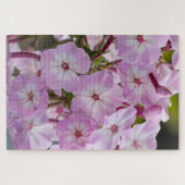 Roze Phlox, Canadese Wonder Legpuzzel (Horizontaal)