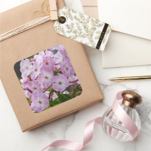 Roze Phlox Flower, Canadese fotografie Vierkante Sticker