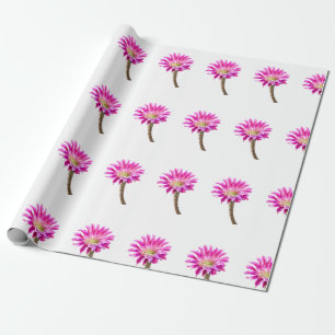 Roze Piazza cactusbloem in bloei Cadeaupapier