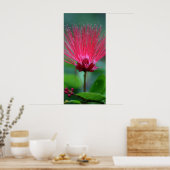 Roze pieken poster (Keuken)