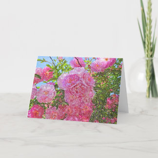 Roze pinda's- gekleurde potloodkaart kaart