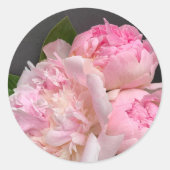 Roze pinda's op donkergrijs ronde sticker (Voorkant)