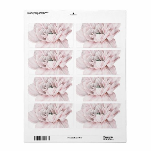 Roze pinda's, romantisch, bruiloft, , shabby, chic etiket (Full Sheet)