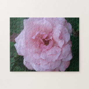  roze pindropen met regendruppels legpuzzel