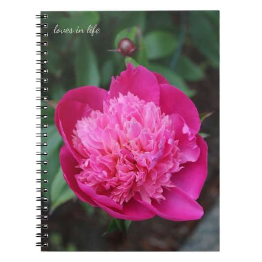 Roze Pioen & Baby Bud Notitieboek (Voorkant)