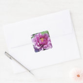Roze Pioen Bloem Foto Vierkante Stickers (Envelop)
