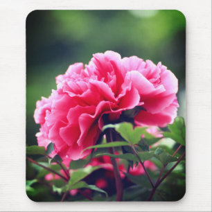 Roze Pioen Bloem in de Tuin-33333 Muismat