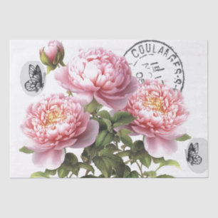 Roze Pioen Bloem Vlinder Frans Postmark Craft Tissuepapier