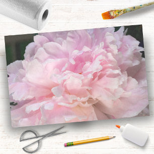Roze Pioen Bloesem Tissuepapier
