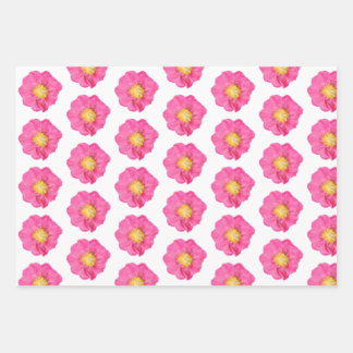 Roze Pioen Botanisch Plat Vel Cadeaupapier