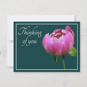 Roze Pioen Cyaan Achtergrond Denk Aan Jou Briefkaart