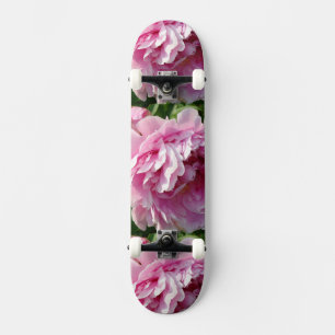 Roze Pioen foto huisje boerderij bloementuin Skateboard