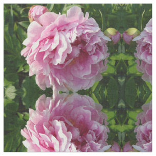 Roze Pioen foto huisje boerderij bloementuin Stof