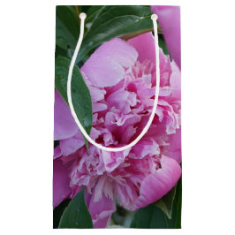 Roze Pioen Klein Cadeauzakje
