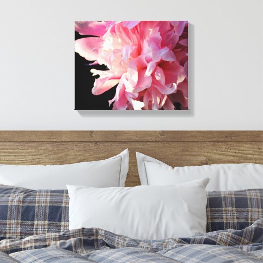 Roze Pioen op zwarte achtergrond Canvas Print (Insitu (Slaapkamer))