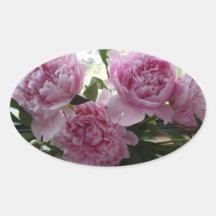 Roze Pioen Stickers