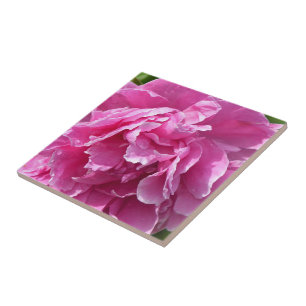 Roze Pioen Tegeltje