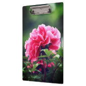 Roze pioenroos bloem in de tuin-33333 klembord (Links)