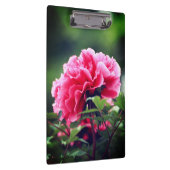 Roze pioenroos bloem in de tuin-33333 klembord (Rechts)