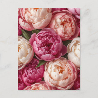 Roze pioenrozen briefkaart