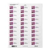 Roze Pioenrozen Bruiloft Retouradres Label (Full Sheet)