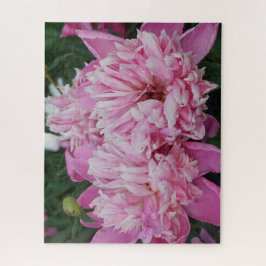 Roze Pioenrozen Legpuzzel