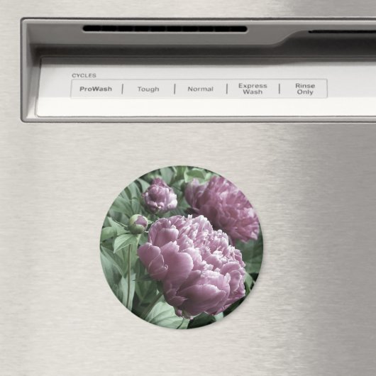 Roze Pioenrozen Magneten (Insitu (Vaatwasser))