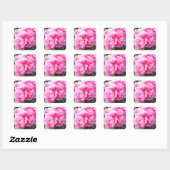 Roze Pioenrozen Vierkante Sticker (Vel)