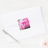 Roze Pioenrozen Vierkante Sticker (Envelop)