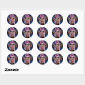 Roze Pirate Fairy Sticker (Vel)