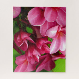 Roze Plumeria Bloem Foto Legpuzzel
