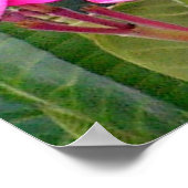 Roze Plumeria Flower Print (Hoek)