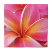 Roze Plumeria Frangipani Hawaii Flower Hawaiian Tegeltje (Voorkant)