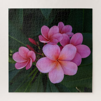 Roze Plumeria Hawaiaanse Bloem Foto Legpuzzel