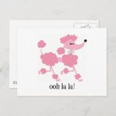 roze poedel briefkaart (Voorkant / Achterkant)