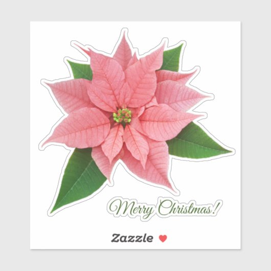 Roze Poinsettia Sticker (Vel)