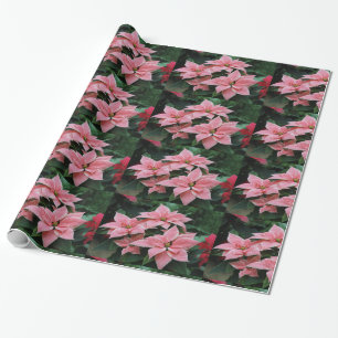 Roze poinsettia vakantieverlooppapier cadeaupapier