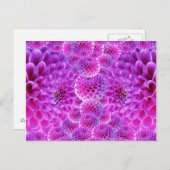 Roze Pom Dahlia Flowers Briefkaart (Voorkant / Achterkant)