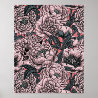 Roze pony-bloemen en -moten