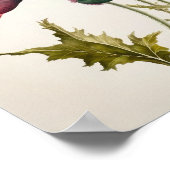 Roze Poppy Flowers Art Print Poster (Hoek)