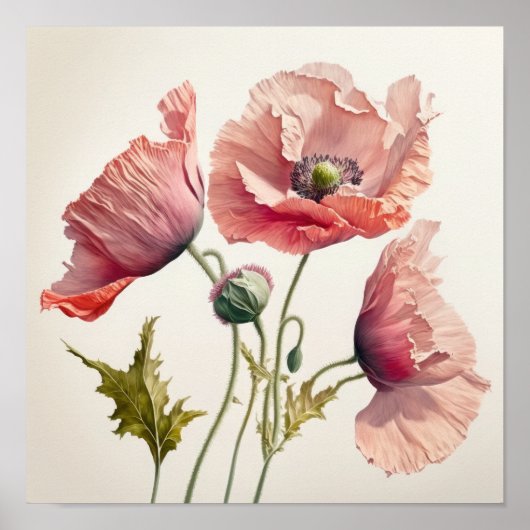 Roze Poppy Flowers Art Print Poster (Voorkant)