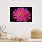 Roze Poster (Keuken)